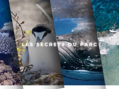 SecretsParc