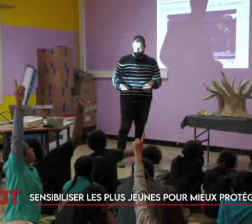 feuilleton