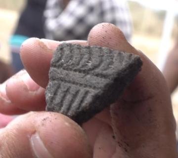Lapita