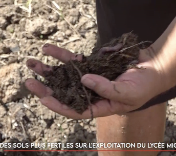 Des sols plus fertiles sur l’exploitation du lycée Michel-Rocard