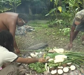 Manioc