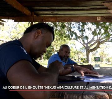 Au cœur de l’enquête "Nexus : Agriculture et Alimentation dans le Pacifique" ©Caledonia