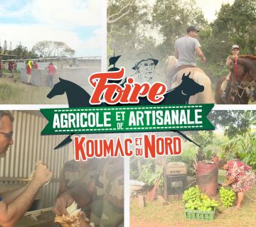 Foire de kmc