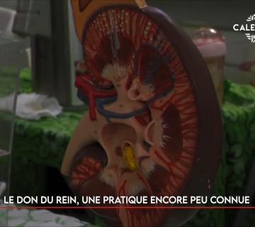 Le don du rein, une pratique encore peu connue ©Caledonia